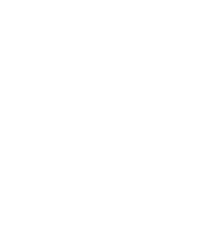 Shtek